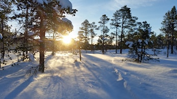 Siste nytt- snø i Vassfjellet!